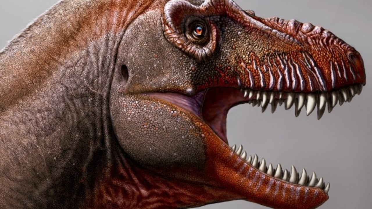 Palaeontologists discover new species of meateating dinosaur in Canada