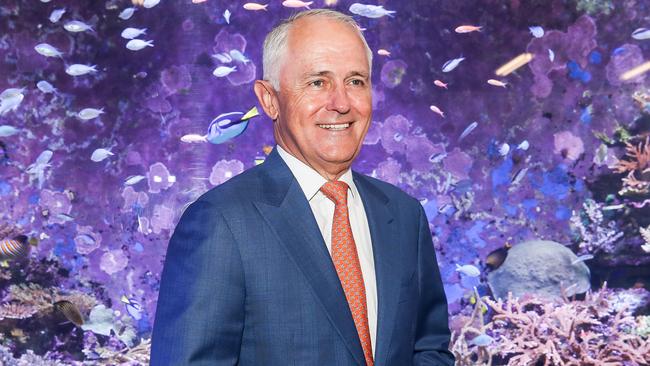 Australian Prime Minister Malcolm Turnbull visits the Australian Institute of Marine Science (AIMS) in Cape Cleveland, Queensland on Monday, January 22, 2018. Malcolm Turnbull has announced a $60 million plan to save the Great Barrier Reef which is under threat from mass bleaching. (AAP Image/Michael Chambers) NO ARCHIVING