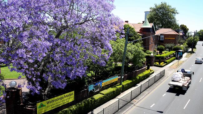 Abbotsleigh School, Wahroonga. Picture: Peter Kelly