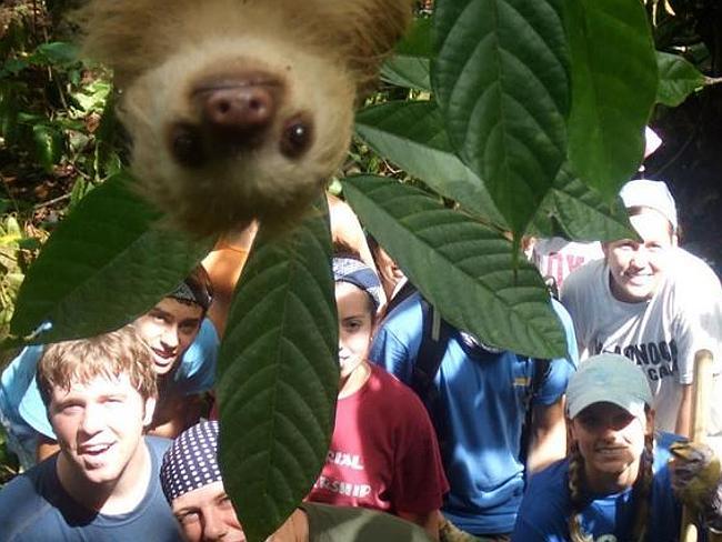 A Sloth peeks into this group shot. Picture: Supplied