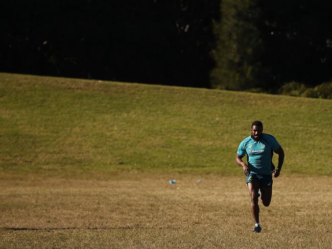 Cheika wants to replicate an intense pre-season ahead of the Bledisloe Cup series.