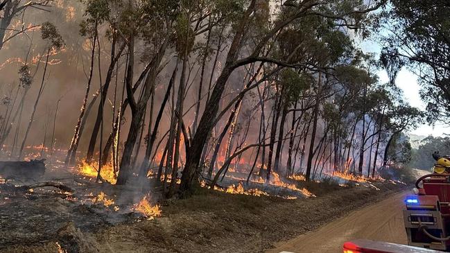 An image released on the 2nd of February, 2025 showing a bushfire burning in the Grampians region in Victoria on Saturday.  Strike Team 2090 spent the day in the Grampians assisting with back burning and monitoring tree crowning and spot overs. Picture: Facebook / Kerang Fire Brigade