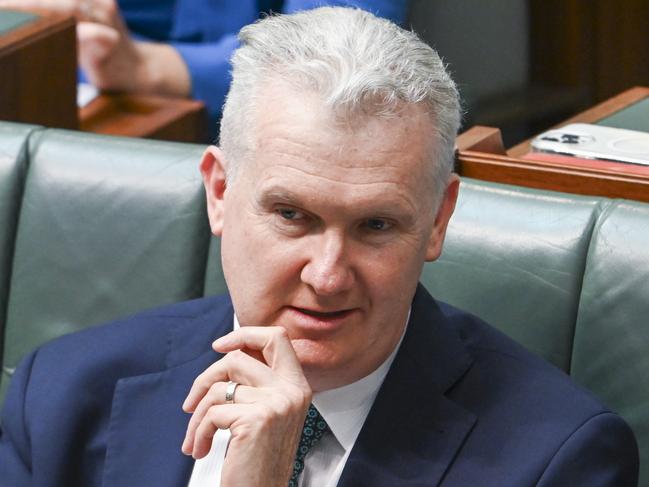 CANBERRA, Australia - NewsWire Photos - October 8, 2024: Minister for Home Affairs and Minister for the Arts, Tony Burke during Question Time at Parliament House in Canberra. Picture: NewsWire / Martin Ollman