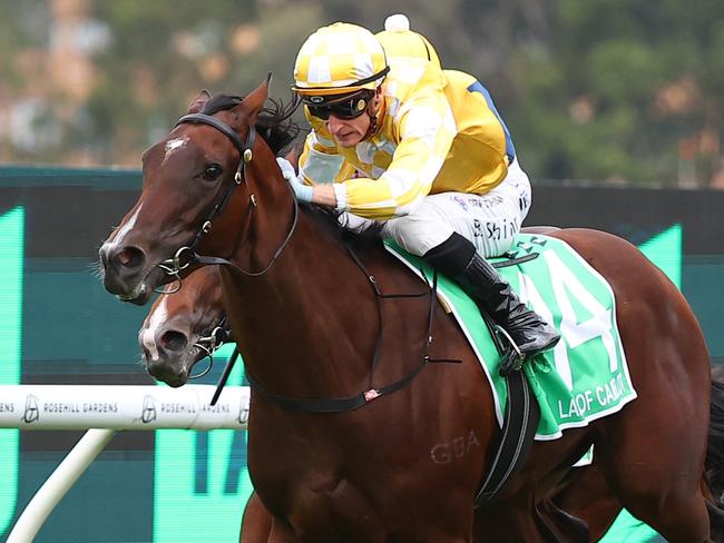 SYDNEY, AUSTRALIA - MARCH 23: Blake Shinn riding  Lady Of Camelot wins Race 8 Golden Slipper during the Golden Slipper Day - Sydney Racing at Rosehill Gardens on March 23, 2024 in Sydney, Australia. (Photo by Jeremy Ng/Getty Images)