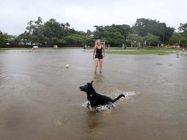 Clare Ferrier with her dog Rufus at Frew Park in Milton in Brisbane’s inner west. Picture: Mark Calleja