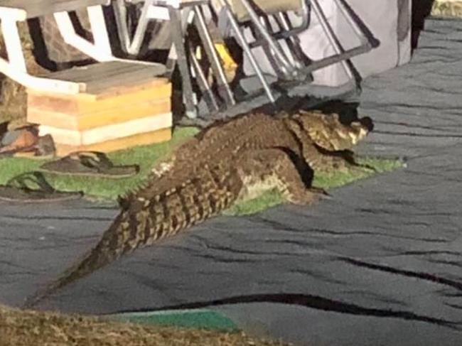 PICTURES: ‘Crikey’: Croc traps Top End couple