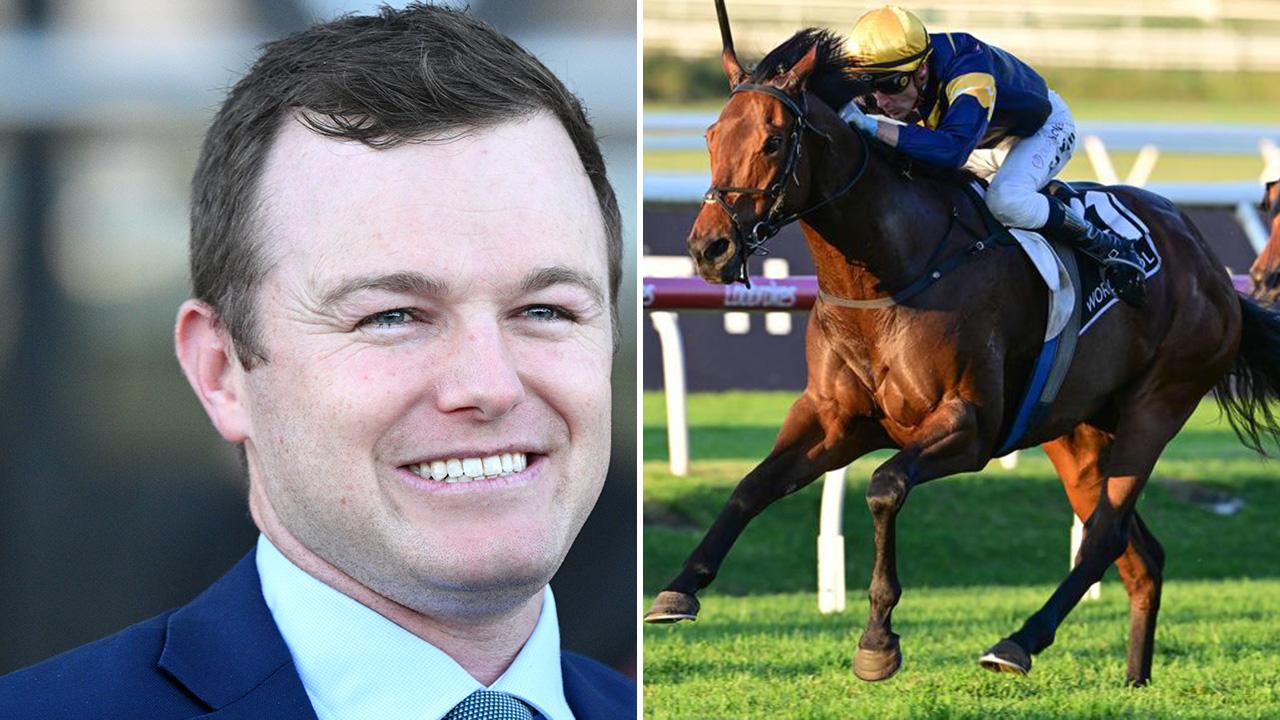 Another little soldier to join Lindsay Park machine