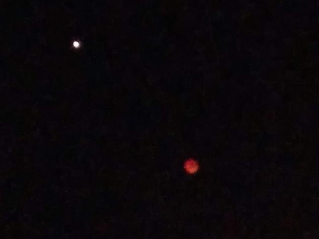 Blood Moon but a white Mars. Priyachari Chakravarti, Noarlunga Downs.