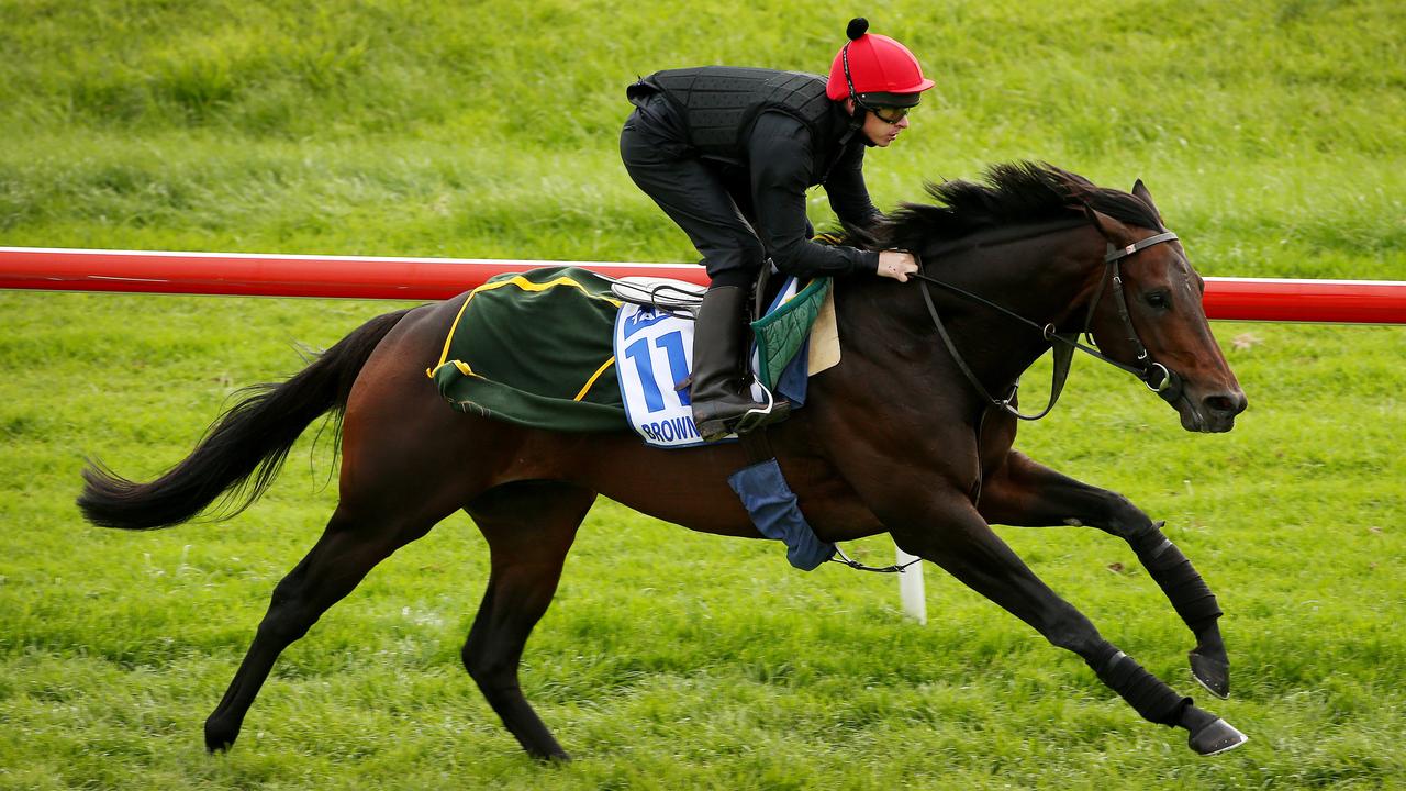 Royal Ascot features rather than Goodwood Cup defence for Brown Panther ...