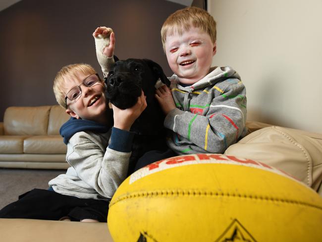 Harrison Pennicott, right, hangs out at home with older brother Miller and their dog, Max. Picture: JAMES ROSS