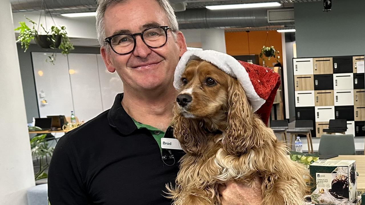 Woolworths Group CEO Brad Banducci and his three-year-old King Charles Cavalier cocker spaniel cross named Juno. Picture: Supplied