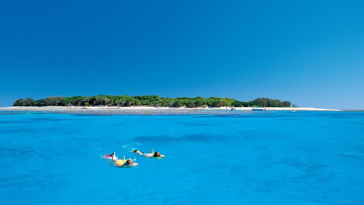 Snorkelling near 1770, Queensland.