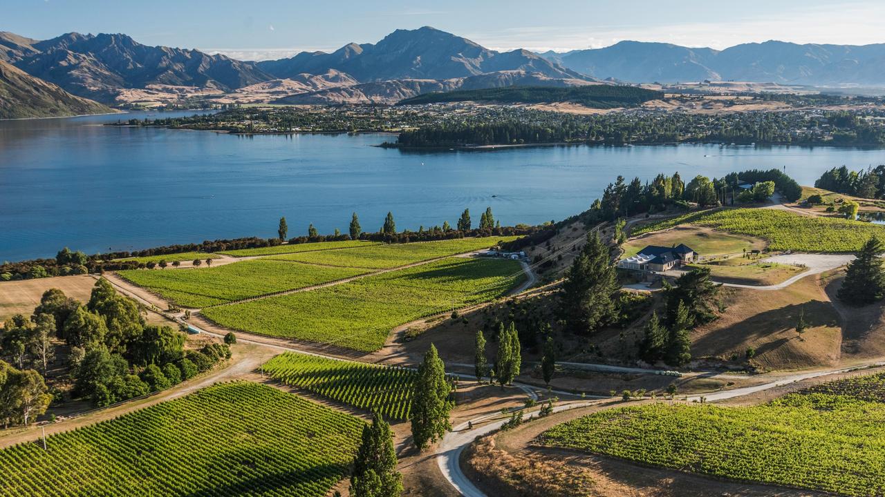 Rippon vineayrds on Lake Wanaka, Otago, New Zealand. Picture: Alamy