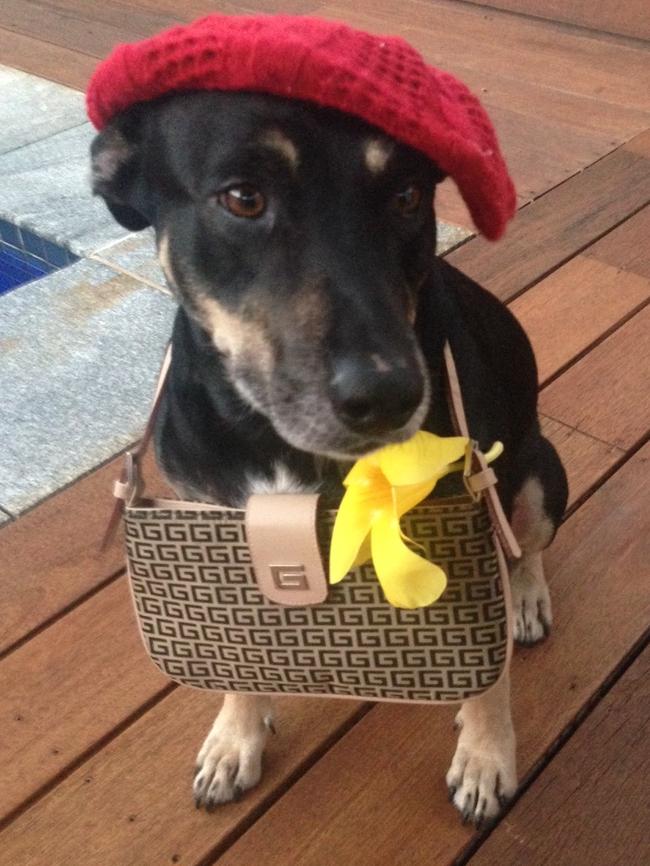 Misha: All dressed up and everywhere to go – Misha’s favourite spots are the skate park and the beach.