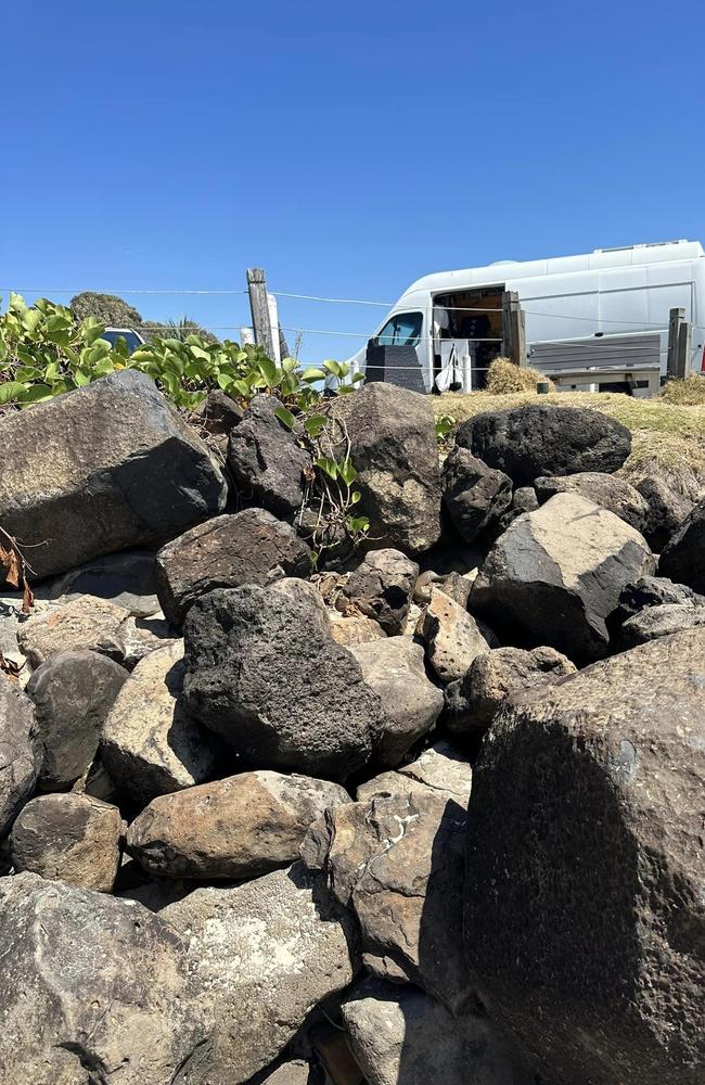 Eastern brown snake spotted near holiday makers at the iconic Currumbin Alley. Picture: Facebook