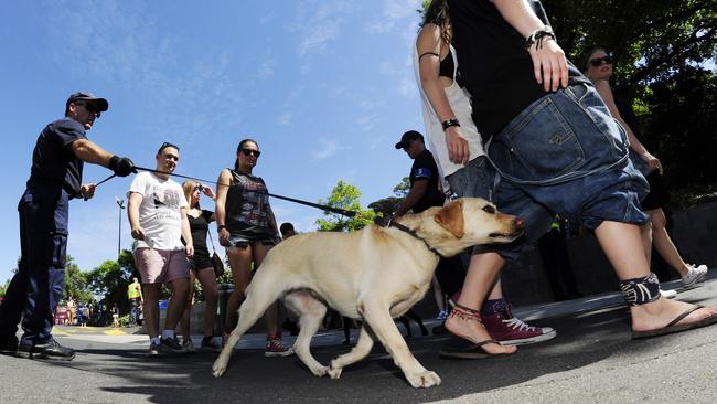 A review of drug detection dogs has been proposed as part of a report on drugs in Victoria.