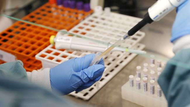 A laboratory assistant tests samples for COVID-19. Picture: Josh Woning/AAP