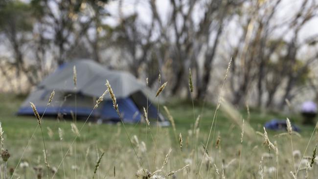 Butler’s friend’s ex-girlfriend and new boyfriend were camping at Wayne’s World when they were attacked by the trio. Picture: istock