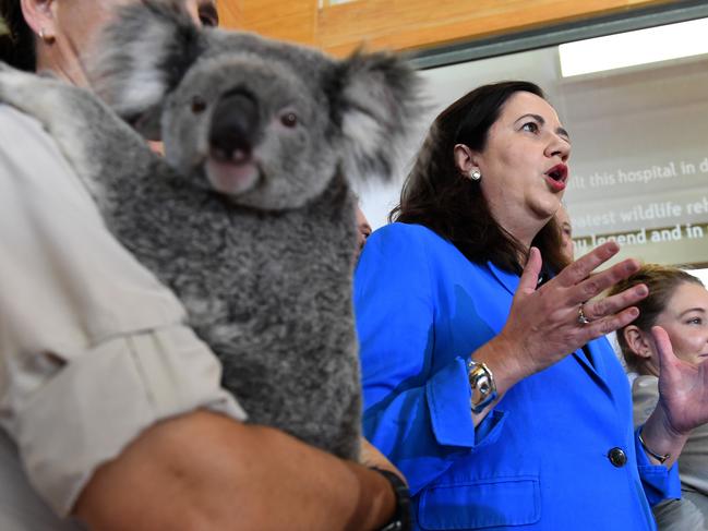 Queensland Premier Annastacia Palaszczuk at the media conference at Australia Zoo in Beerwah, on the Sunshine Coast. Picture: AAP