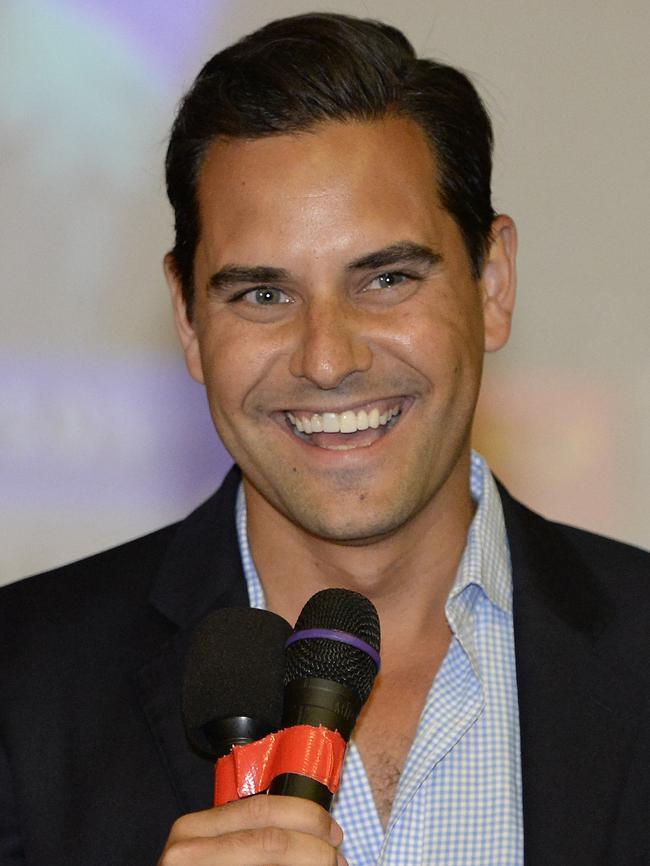 Independent State MP Alex Greenwich.