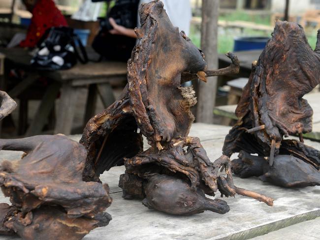 (FILES) This file photo taken on August 13, 2014 shows dried bushmeat at the Ajegunle-Ikorodu market in Nigeria's largest city Lagos. - Like SARS (Severe Acute Respiratory Syndrome), which killed hundreds in China and Hong Kong in 2002-03, Ebola also was traced to bats, while HIV has roots in African primates, and the so-called "bushmeat" trade, plus broader human encroachment on wild habitats, is bringing us into ever-closer contact with animal viruses that can spread rapidly. (Photo by Pius Utomi EKPEI / AFP) / TO GO WITH China-health-virus-animals,FOCUS by Dan Martin