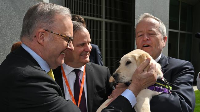 Anthony Albanese and Bill Shorten meet the star of the show during a Vision Australia event at Parliament House on Tuesday. Picture: AAP