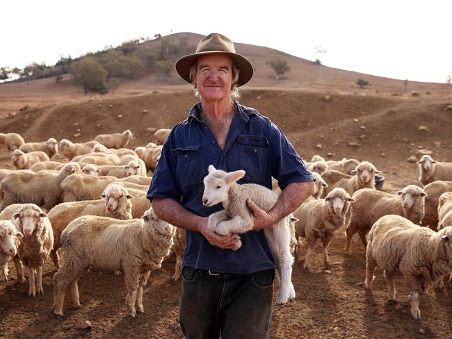 Farmer Les Jones on his property at Goolhi, west of Gunnedah, where he will have to kill his sheep because he can’t afford to feed them. Picture: Sam Ruttyn