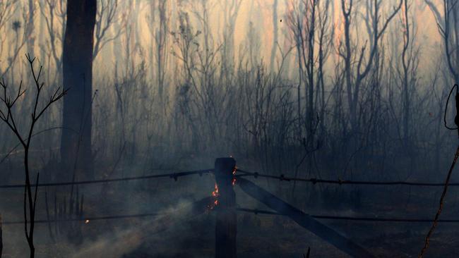 Burnt out bushland along Lemon Tree Passage Road, in Salt Ash, on Friday morning. Picture: AAP