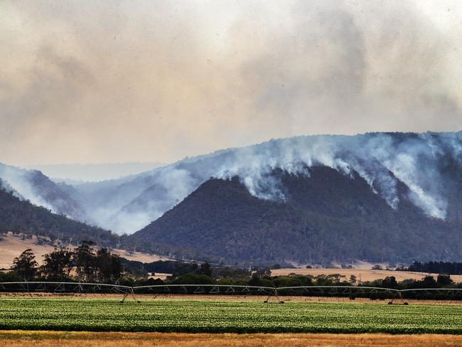 Smoke rises from the fire burning in the hills around Fingal. Picture: CHRIS KIDD