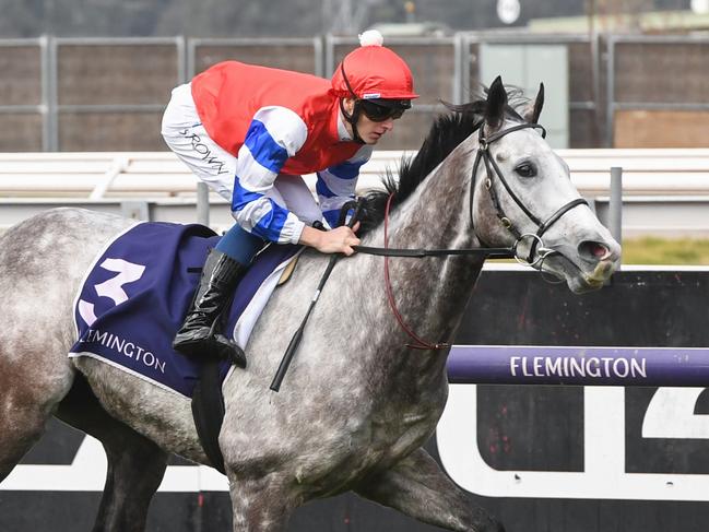 Berkshire Breeze (IRE) ridden by Ethan Brown wins the Banjo Paterson Series Final at Flemington Racecourse on July 06, 2024 in Flemington, Australia. (Photo by Brett Holburt/Racing Photos via Getty Images)