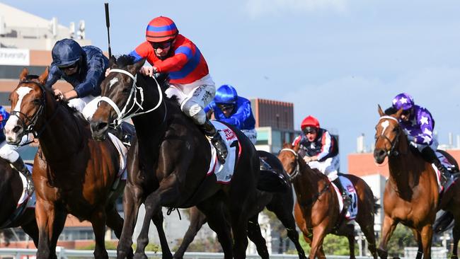 Verry Elleegant has the chance to win the coveted double - the Caulfield Cup and the Melbourne Cup. Picture: Getty