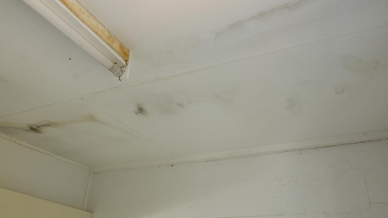 Multiple leaks have now appeared in the roof, leaving black mould through the home every time it rains. Picture: Brendan Radke