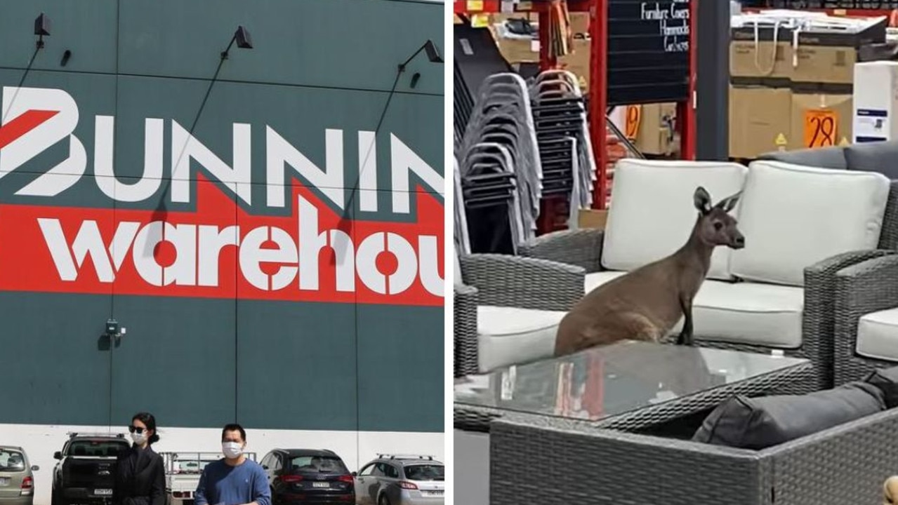 ‘Peak Australia’: Unexpected find in Bunnings