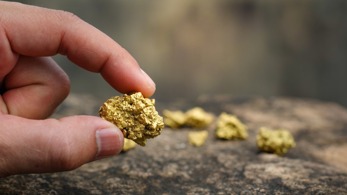 SCN finds shiny specimen gold at the Oliver Patch prospect | The Australian