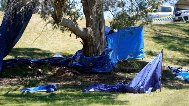 The jumping castle was blown 10 metres into the air after a "wind event" with at least nine children inside at the time. Picture: Rob Burnett