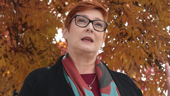 Foreign Minister Marise Payne says the ban on Australians returning from India will only be temporary. Picture: NCA NewsWire / Gary Ramage