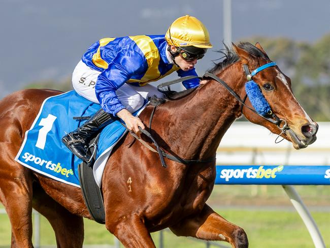 Colmar wins the Sires' Produce Stakes at Morphettville Parks. Picture: Makoto Kaneko