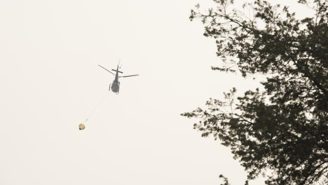 A water bombing helicopter is silhouetted by the leaves of an ancient Huon Pine. Picture: WARREN FREY/TFS