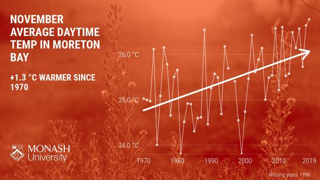 A typical November day in Moreton Bay is 1.3 degrees warmer now than it was 50 years ago. Moreton, 4 November 2020, Source: Monash University.