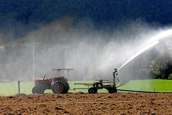 Our farmers are facing dire circumstances as we head towards a hot and dry summer. Picture: Warren Lynam