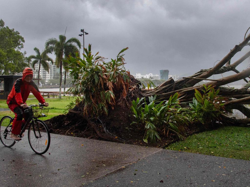 A man cycles past a downed tree in Cairns. Picture: Brian Cassey/AFP