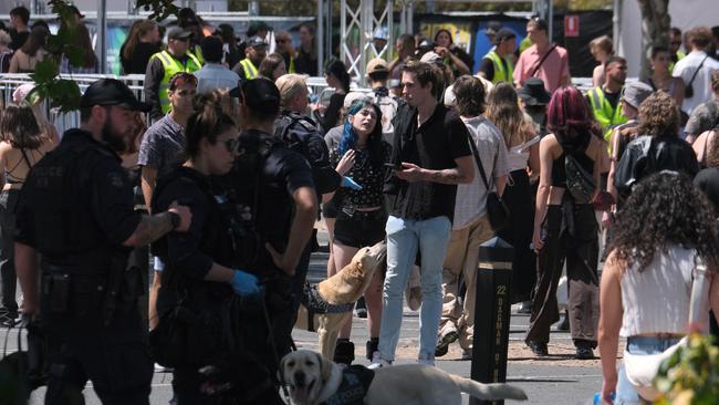 MELBOURNE AUSTRALIA - NewsWire Photos FEBRUARY 10, 2024: Police check music fans as they arrive at the 2024 St Jerome's Laneway Festival at The Park in Melbourne's Flemington.Picture: NCA NewsWire / Luis Enrique Ascui