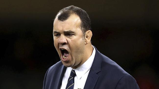 Wallabies vs England: Michael Cheika blows up over controversial ...