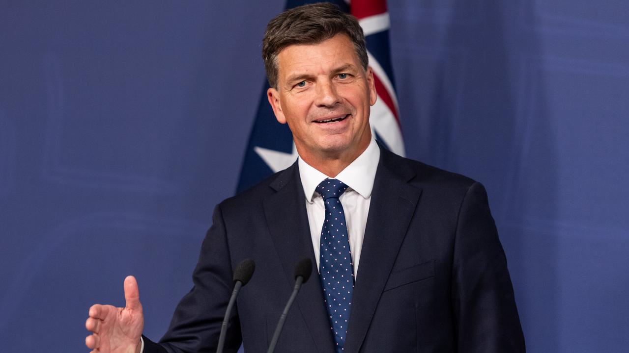 It’s been speculated Senator Nampijinpa Price could run on a ticket with Liberal Angus Taylor. Picture: NewsWire / Monique Harmer