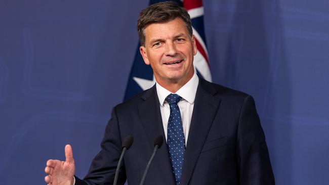 It’s been speculated Senator Nampijinpa Price could run on a ticket with Liberal Angus Taylor. Picture: NewsWire / Monique Harmer