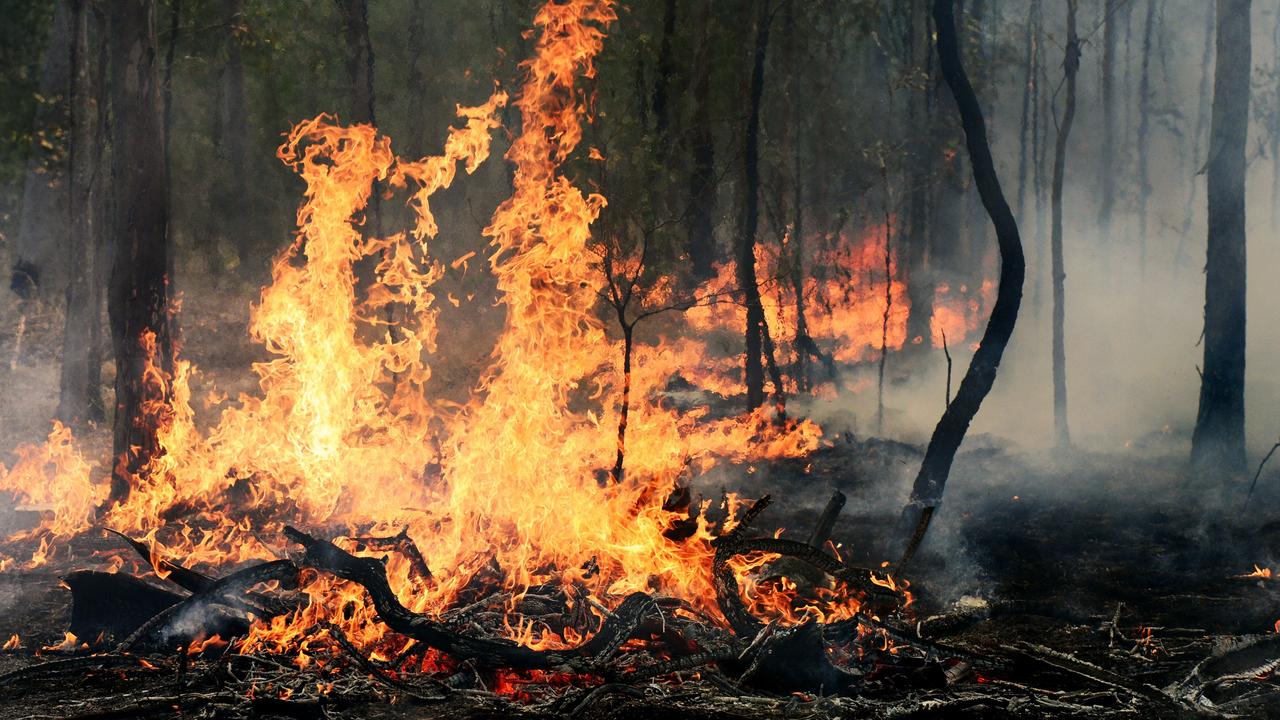 The Toowoomba Regional Council has endorsed a new strategy in relation to development in bushfire-prone areas.