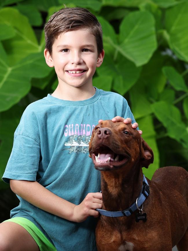 Archie Booth, 6, at home with his new dog Mango. Picture: Brendan Radke