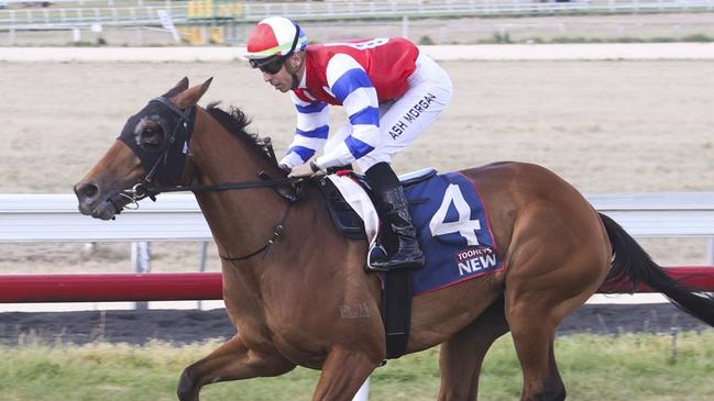 Gobbled just needs a bit of luck early from his wide gate at Lismore. Picture: Bradley Photos