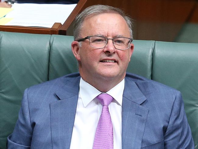 Anthony Albanese called for Barnaby Joyce to step down. Picture: Kym Smith