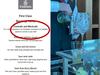 Wild detail on fancy Emirates menu stuns